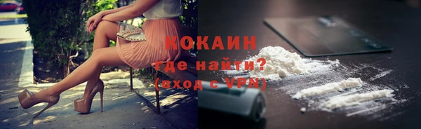 гашик Новокубанск