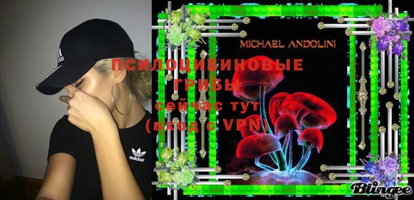 гашик Новокубанск