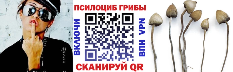 Купить  Урай  Псилоцибиновые грибы Psilocybine cubensis 